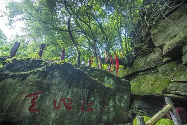 @寧強(qiáng)人，漢江源景區(qū)年卡福利來啦！！插圖15