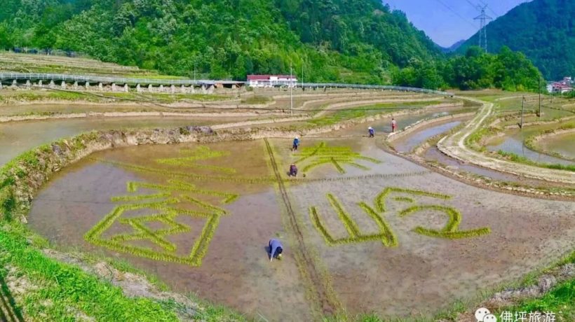 佛坪這些地方，讓你的春游不再單調(diào)！插圖17