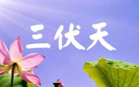 7月16日入伏：“三伏”長(zhǎng)達(dá)40天 專家稱要做好防暑降溫縮略圖