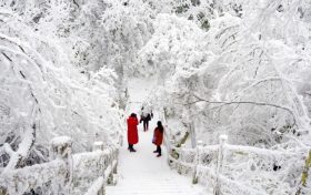 漢江源邀您裹握風雪，暢意起行縮略圖