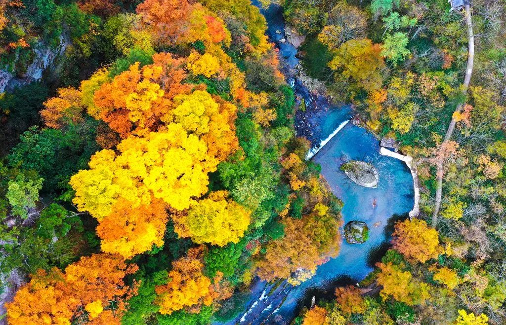 重磅！漢中這家4A景區(qū)全民免門票！