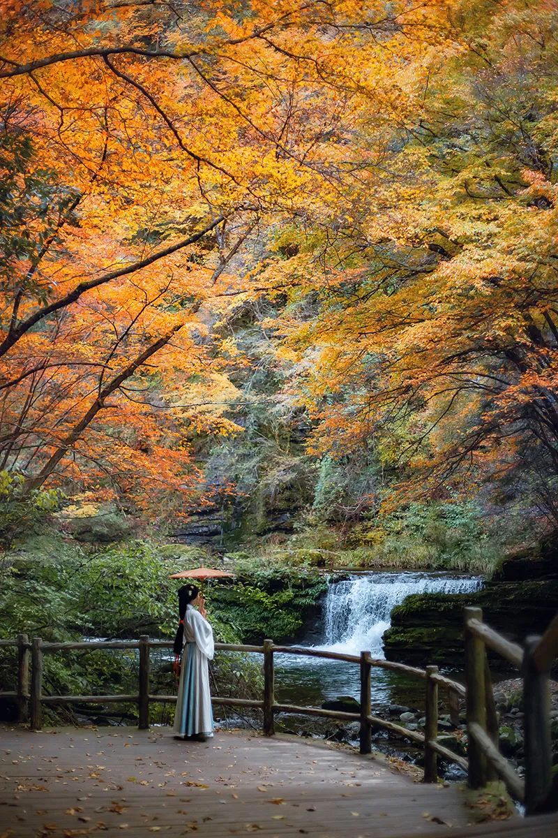 10月1日，漢中黎坪景區(qū)秋高氣爽、景色秀美，還不擁擠，趕緊出發(fā)嘍！