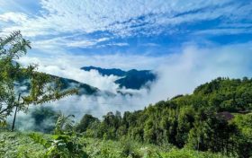 鎮(zhèn)巴最新出游打卡地，讓你心動又驚喜!縮略圖