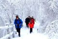 隨著冷空氣的抵達(dá)，陜西迎來一份雨雪、降溫、吹風(fēng)天氣過程縮略圖