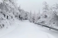 雨夾雪！小雪！小到中雪！漢中氣象發(fā)布黃色預(yù)警信號→縮略圖