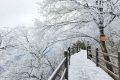 龍頭山今日又下雪啦，每一幀都是“限定浪漫”！縮略圖