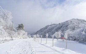 天冷了，吃點(diǎn)啥有助抗寒？縮略圖