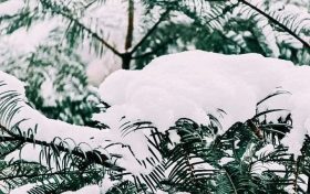 漢中，下雪啦！縮略圖