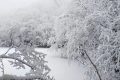 漢江源冰雪季 | 賞雪、嬉雪、看冰瀑，邂逅冬日的浪漫縮略圖