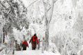 【鬧元宵·賞雪景】一起去漢江源看雪吧！縮略圖