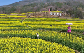 春季鄉(xiāng)村休閑旅游行看這里 陜西發(fā)布22條精品線路縮略圖