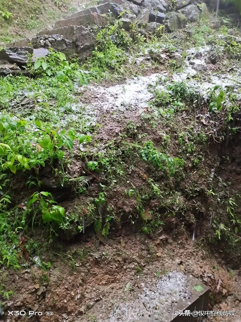 5月7日，漢中市寧強縣突降暴雨及冰雹部分區(qū)域莊稼受損嚴重插圖1