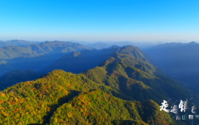 紅葉醉巴山 秋韻滿鎮(zhèn)巴縮略圖