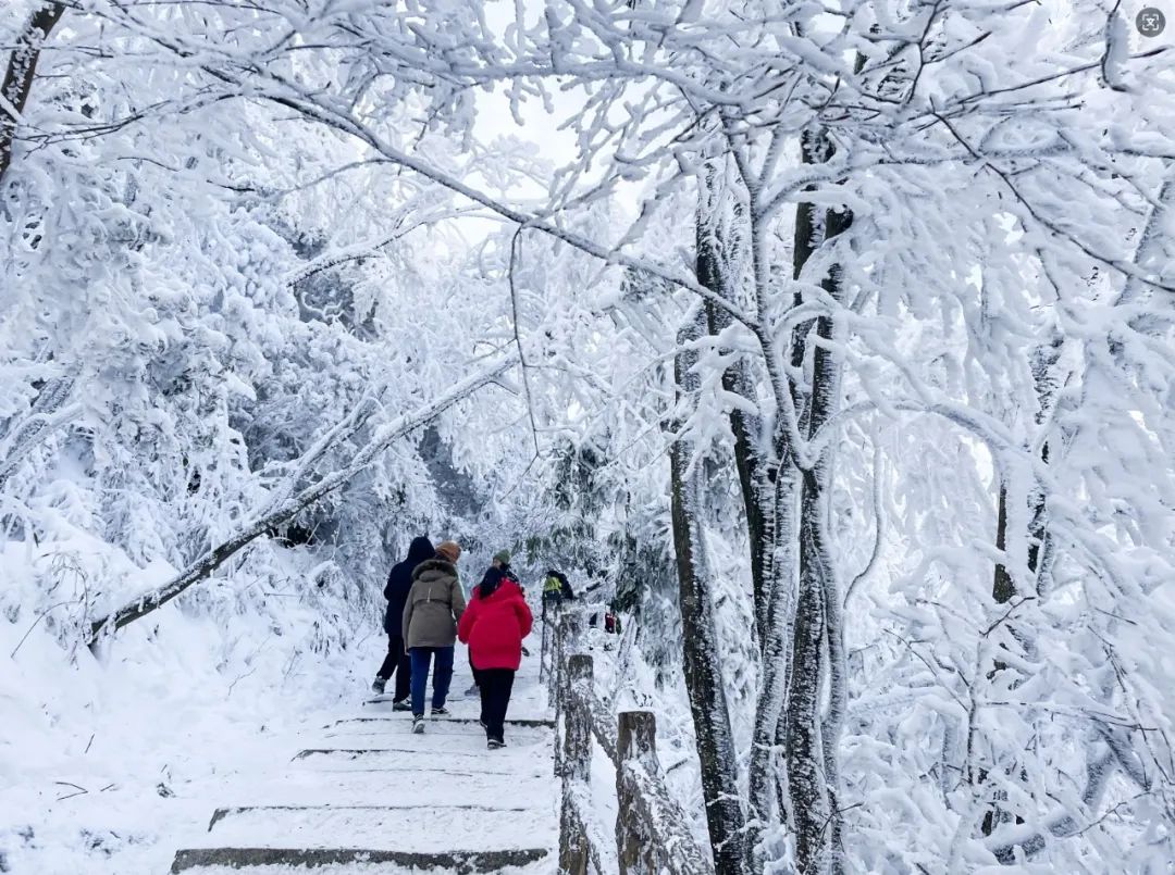 2024漢江源冰雪旅游季抖音大賽等你來挑戰(zhàn)！